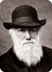 Charles Darwin (1809 - 1882) angol természettudós, az evolúcióelmélet egyik kidolgozója és névadója.
